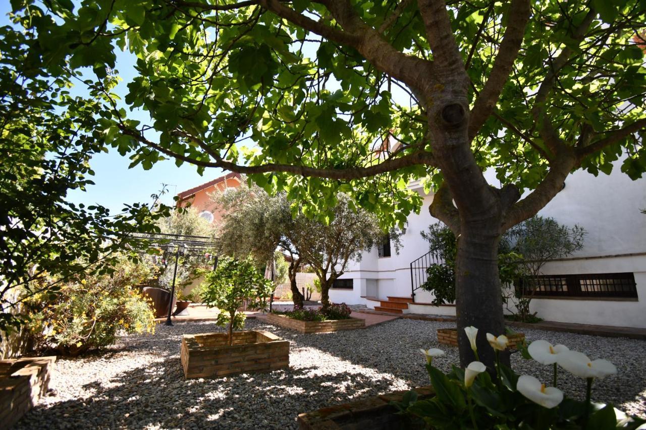 Villa María con Spa exterior privado Belicena Exterior foto